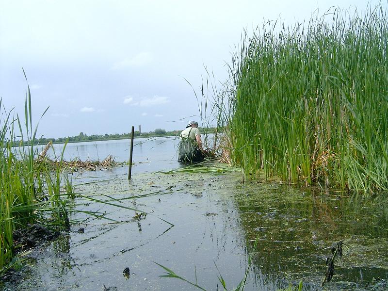 20120610 003.jpg